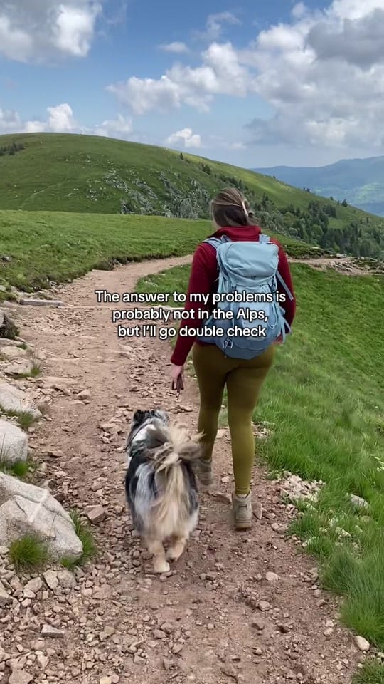 Post 5 by Pawsome.nala on TikTok (video)