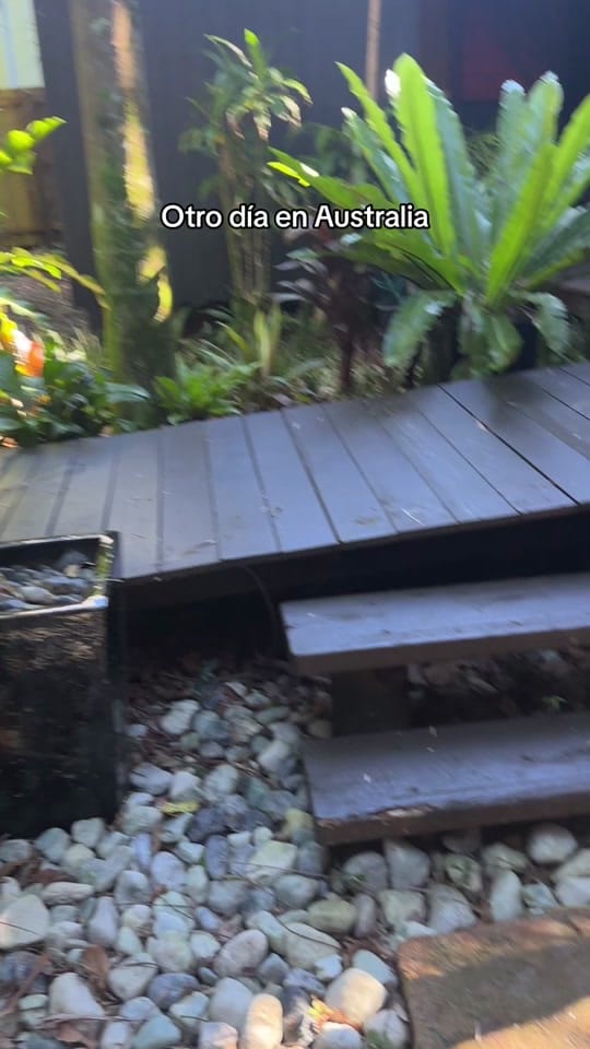 Post 2 by labyronvan on TikTok (video)