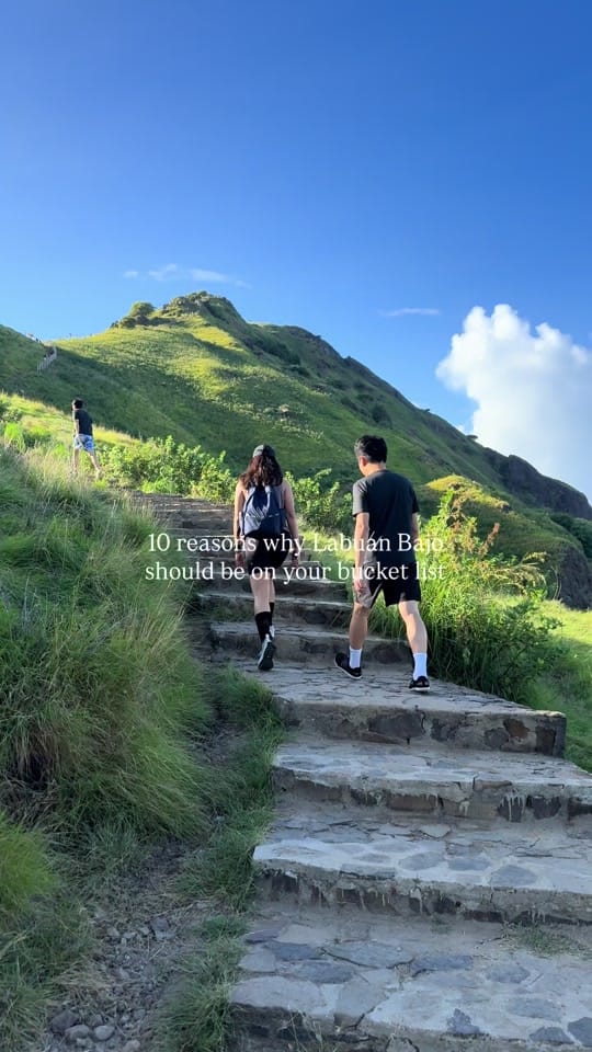 Post 7 by Sally 🌳 Nature-Filled Escapes on TikTok (video)