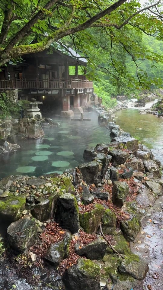 Post 8 by Sally 🌳 Nature-Filled Escapes on TikTok (video)