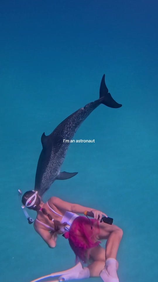 Post 8 by Sydney on TikTok (video)