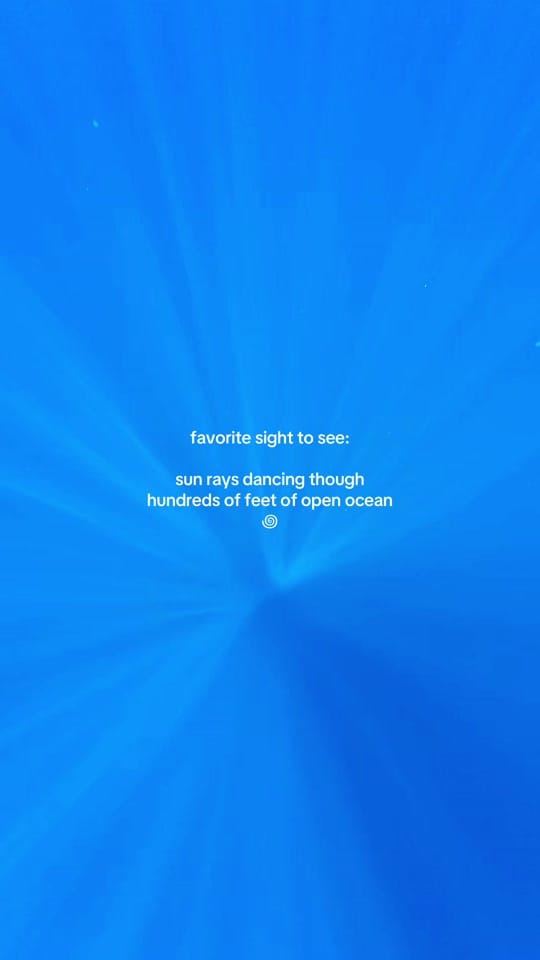 Post 7 by Sydney on TikTok (video)