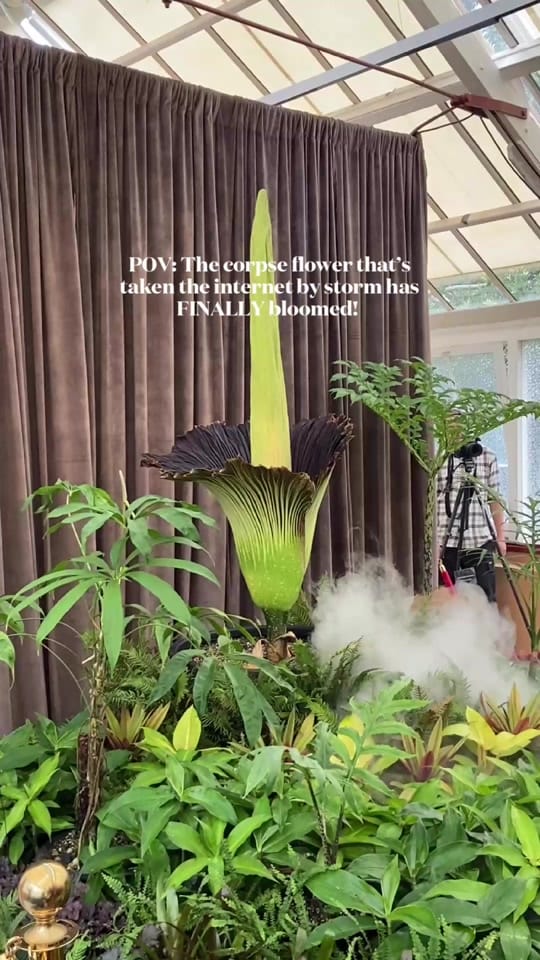 Post 8 by Australian Traveller on TikTok (video)