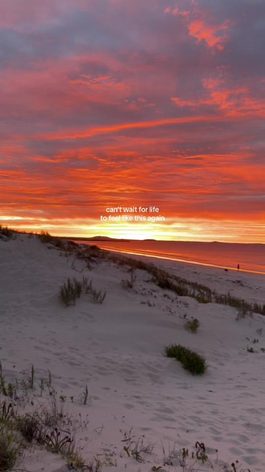 Post 7 by Renee Mackenzie on TikTok (video)