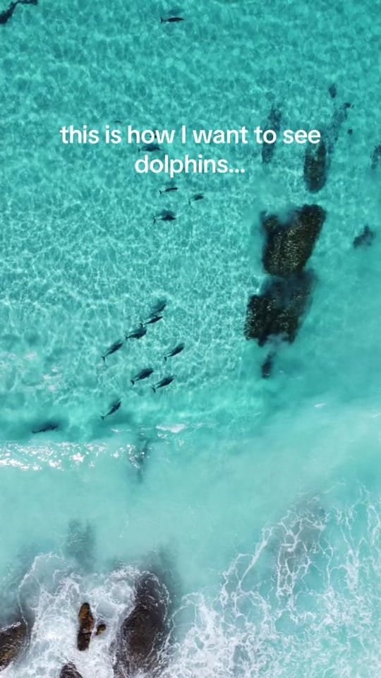 Post 6 by Renee Mackenzie on TikTok (video)
