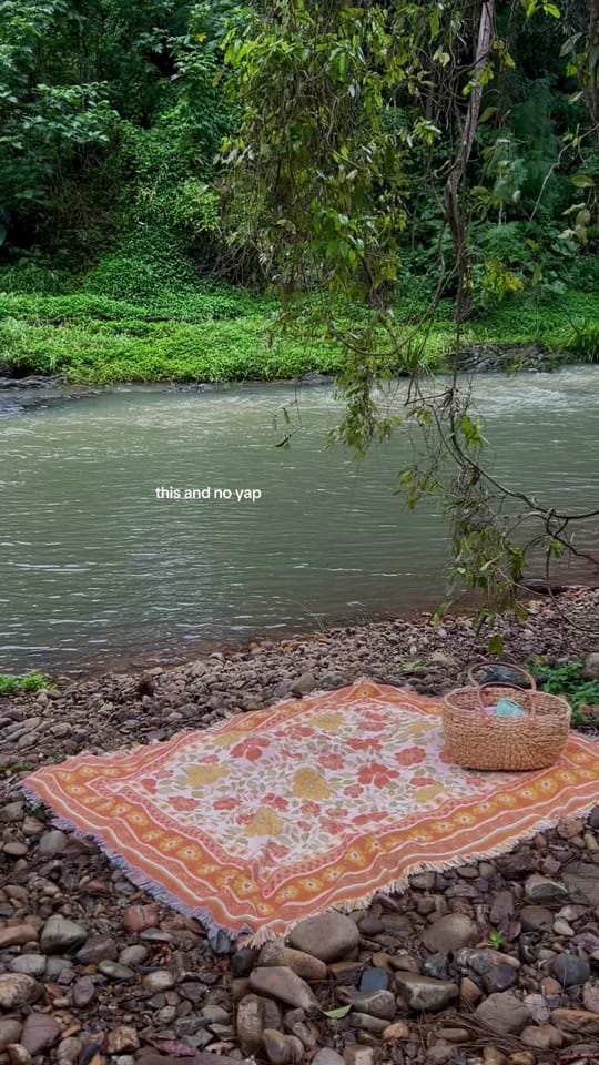Post 6 by lozie 🌻 on TikTok (video)