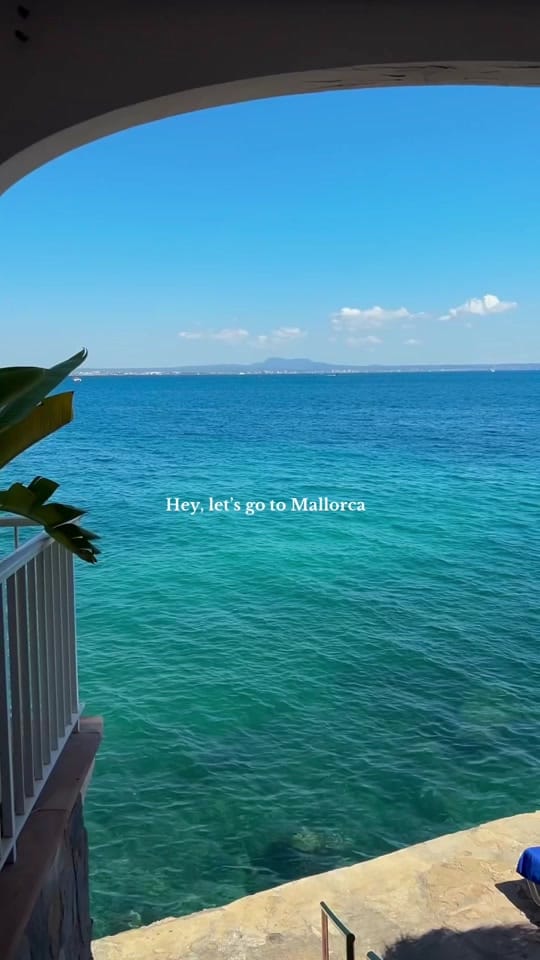 Post 2 by lozie 🌻 on TikTok (video)