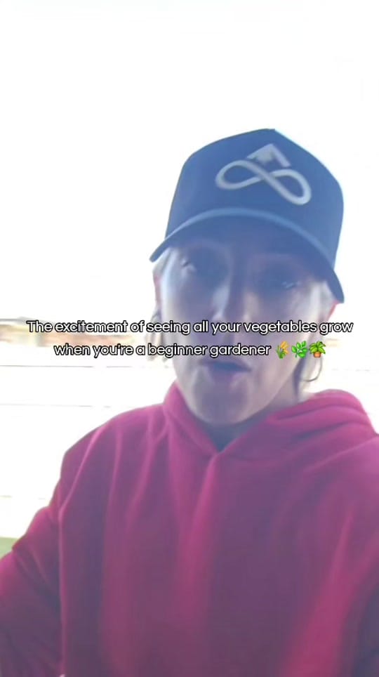 Post 3 by Ciara☘️Irish/Aus Diaries on TikTok (video)