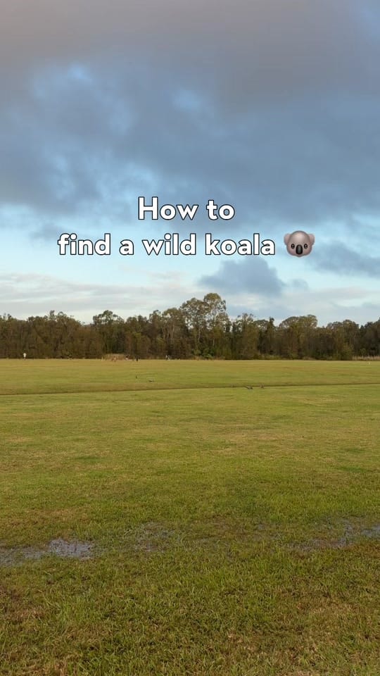 Post 7 by thequietpath__ on TikTok (video)