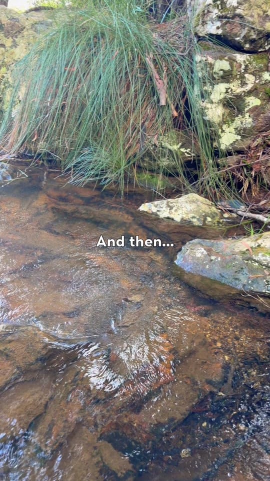 Post 9 by thequietpath__ on TikTok (video)
