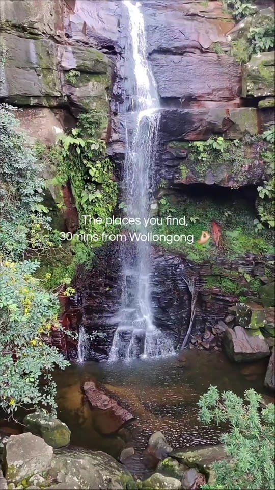 Post 1 by Nature Love Australia 🌴 on TikTok (video)