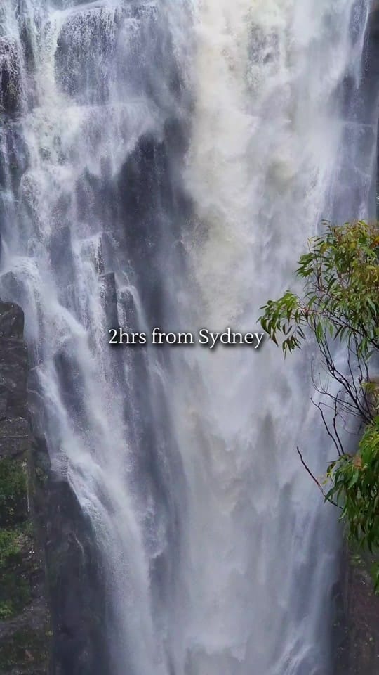 Post 9 by Nature Love Australia 🌴 on TikTok (video)