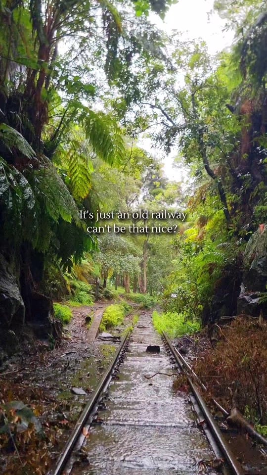 Post 8 by Nature Love Australia 🌴 on TikTok (video)