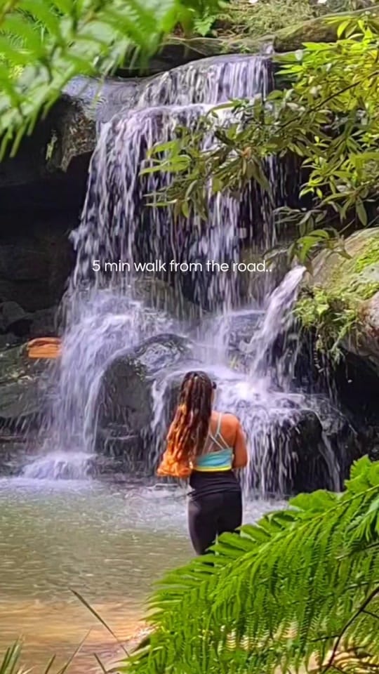 Post 3 by Nature Love Australia 🌴 on TikTok (video)