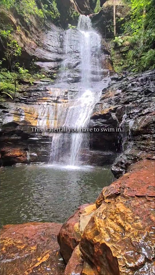 Post 5 by Nature Love Australia 🌴 on TikTok (video)