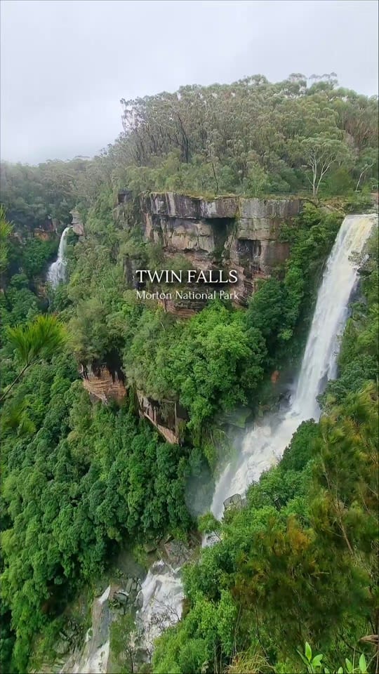 Post 7 by Nature Love Australia 🌴 on TikTok (video)