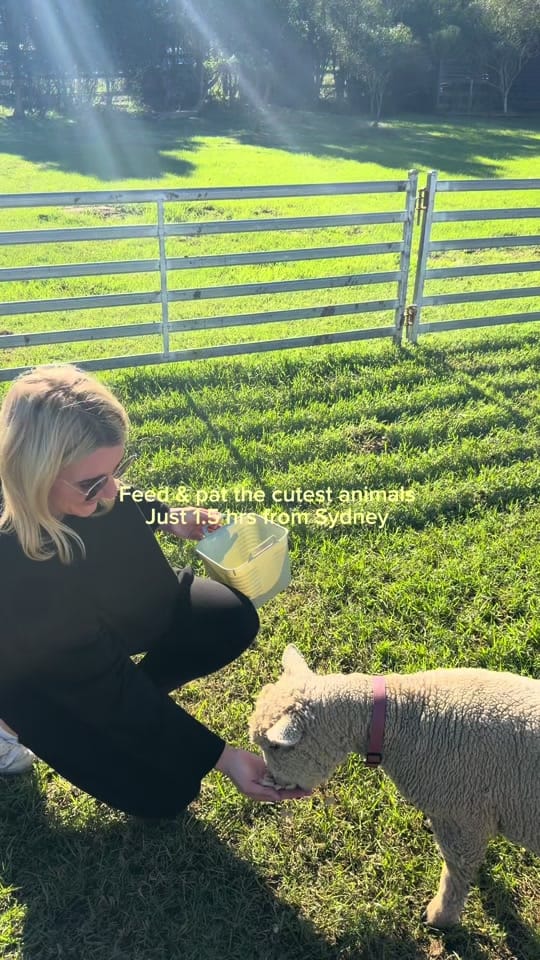 Post 3 by uncoveringwithmads on TikTok (video)
