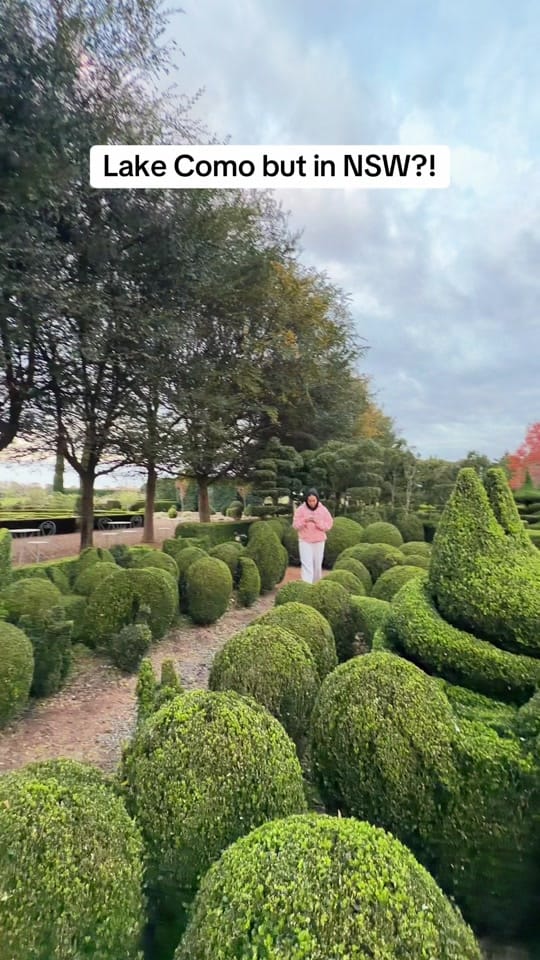 Post 2 by It’s Nafela🍉 on TikTok (video)