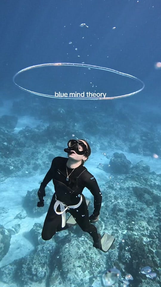 Post 2 by evanfawell on TikTok (video)