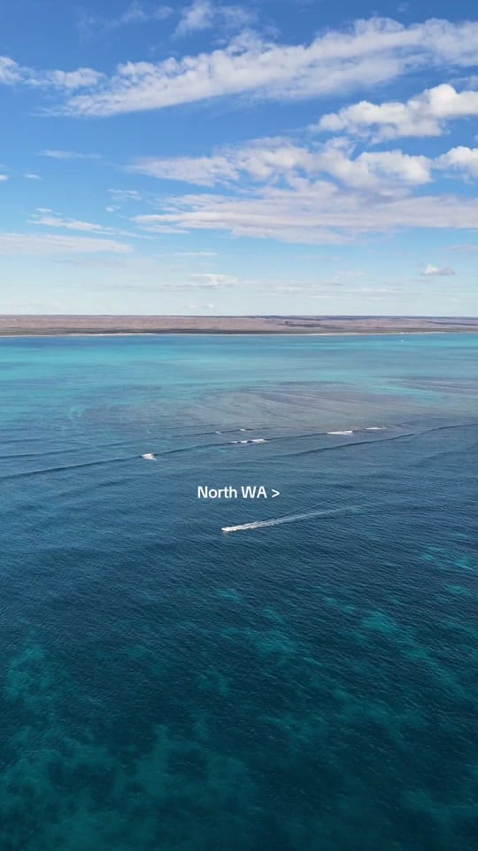 Post 1 by evanfawell on TikTok (video)