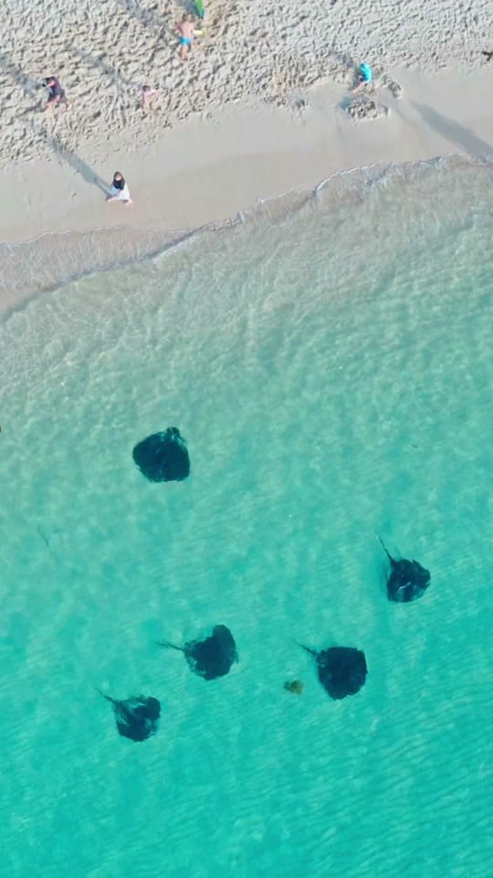 Post 5 by Dylan Alcock on TikTok (video)