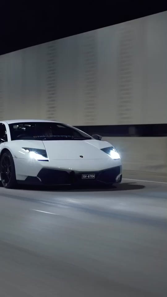 Post 6 by dated. on TikTok (video)