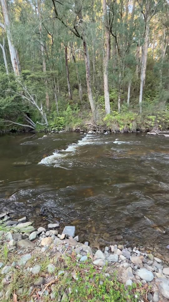 Post 6 by Trekn on TikTok (video)