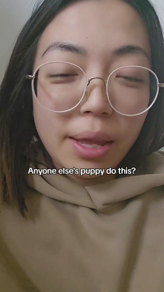 Post 5 by Anna 🍂 on TikTok (video)