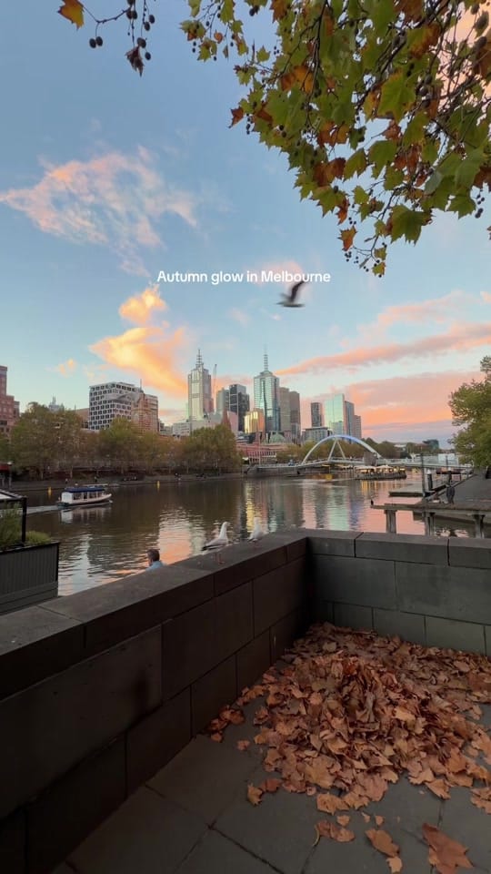 Post 1 by Ray on TikTok (video)