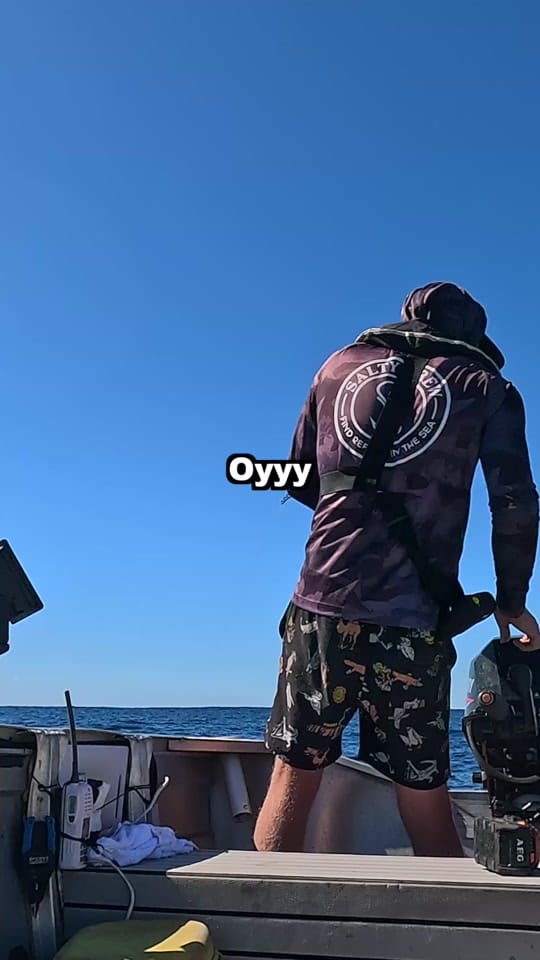 Post 4 by reelsaltyaus on TikTok (video)