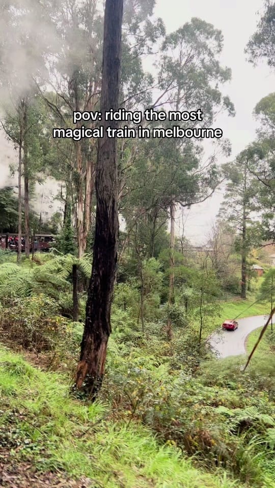 Post 3 by blissful._.tales on TikTok (video)