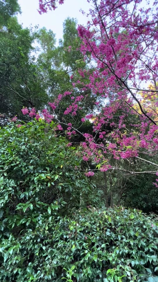 Post 2 by blissful._.tales on TikTok (video)