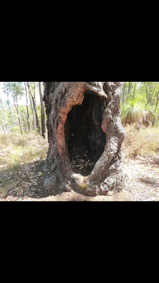 Post 7 by Sweet-Az-RV'n on TikTok (video)