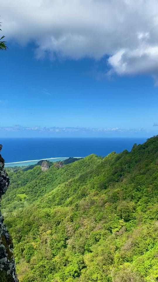 Post 8 by Balazs Szabo on TikTok (video)