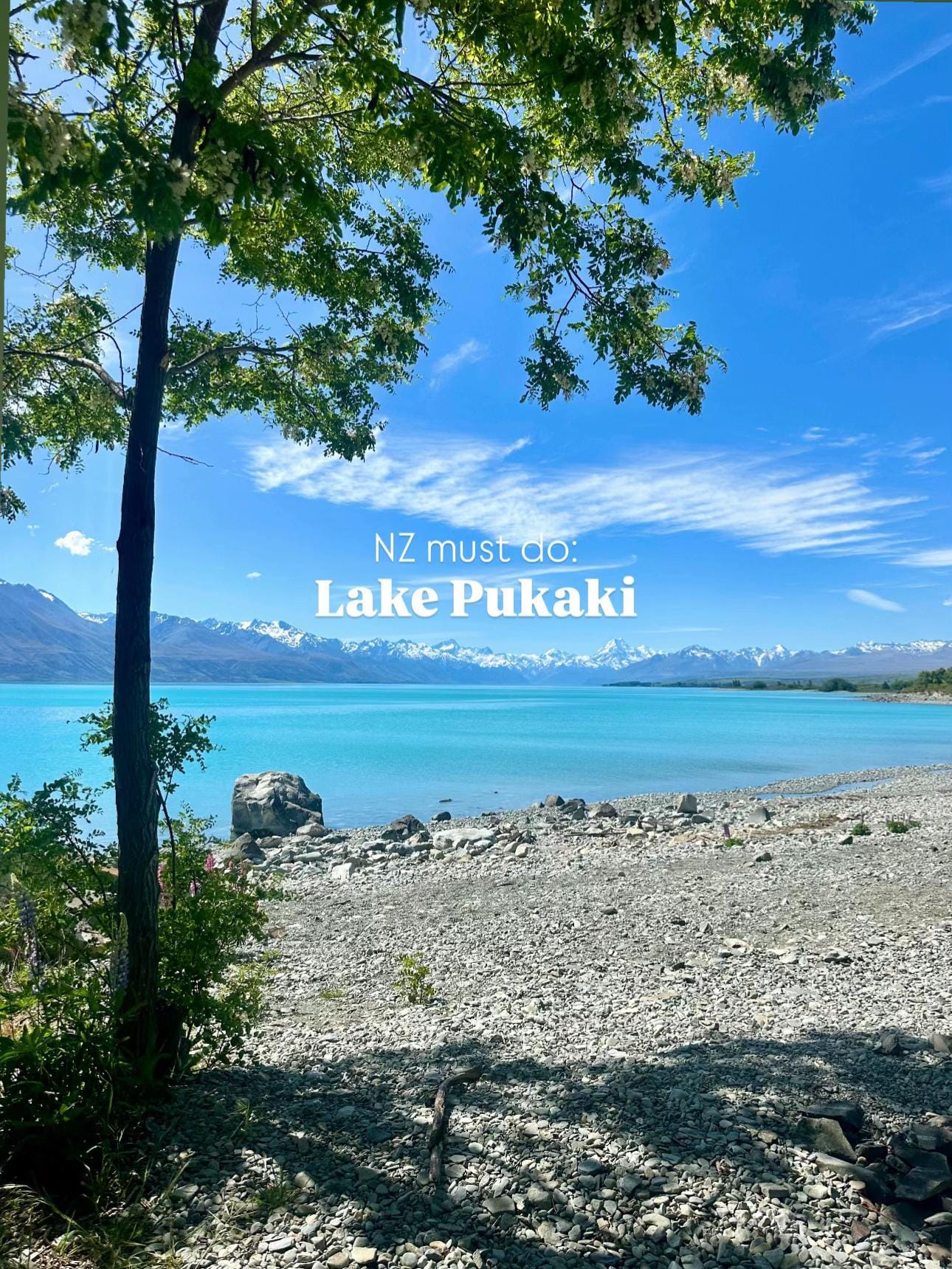 Post 2 by journeywithjacks on TikTok (video)