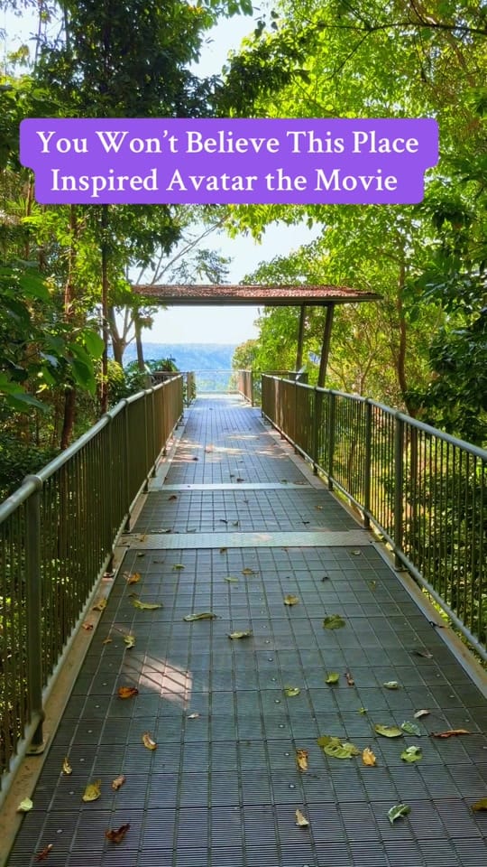Post 9 by Aussie Trev 🦘🇦🇺🦘 on TikTok (video)