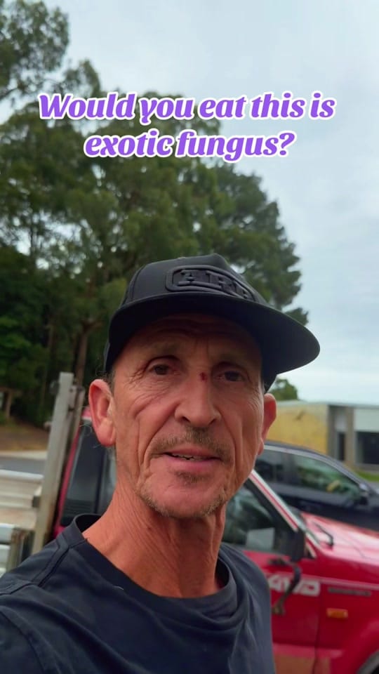 Post 6 by Aussie Trev 🦘🇦🇺🦘 on TikTok (video)