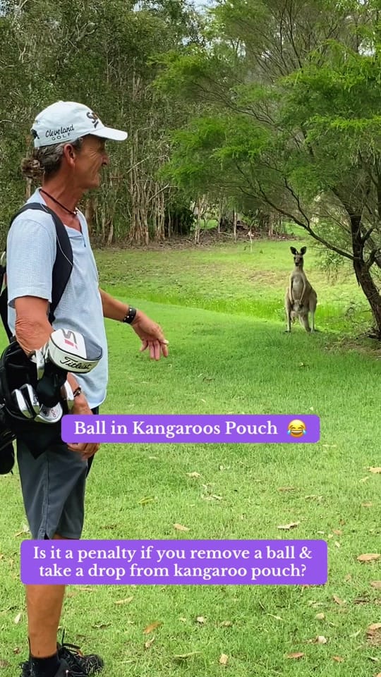 Post 8 by Aussie Trev 🦘🇦🇺🦘 on TikTok (video)