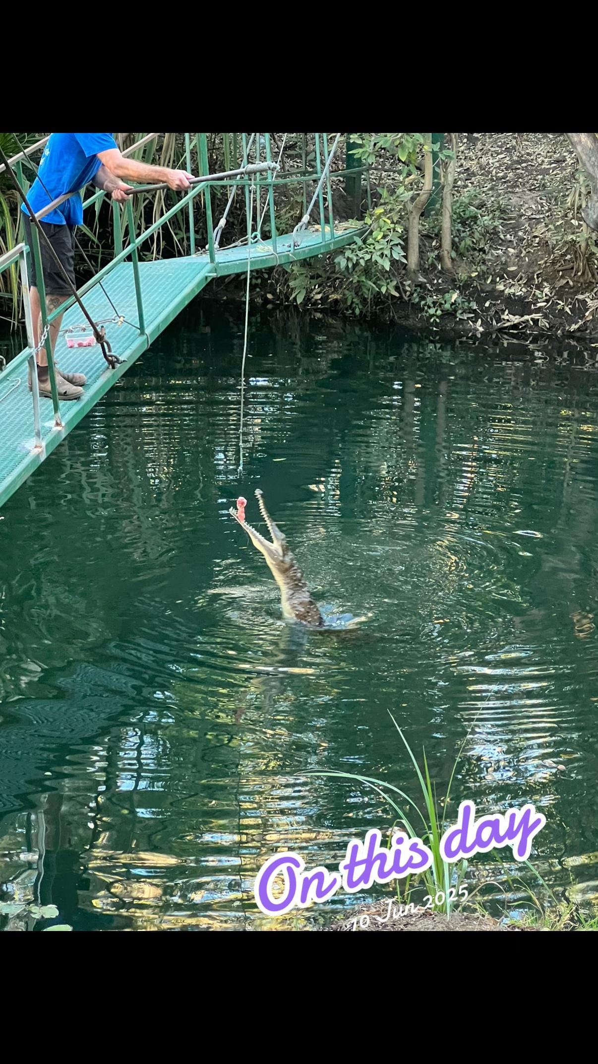 Post 4 by Aussie Trev 🦘🇦🇺🦘 on TikTok (video)