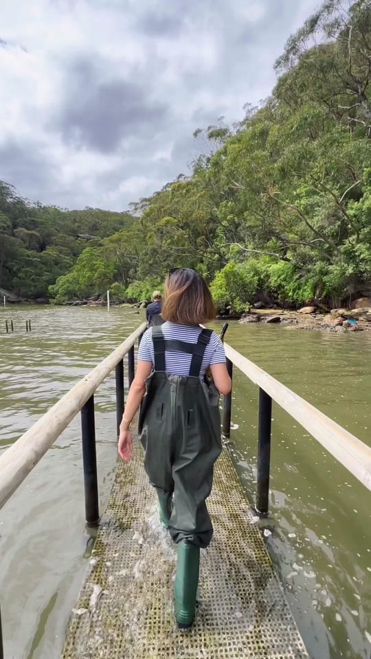 Post 10 by Merisa Chandra on TikTok (video)