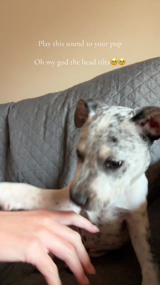 Post 3 by Molly🧚🏼‍♀️  ~Travel Midwife~ on TikTok (video)