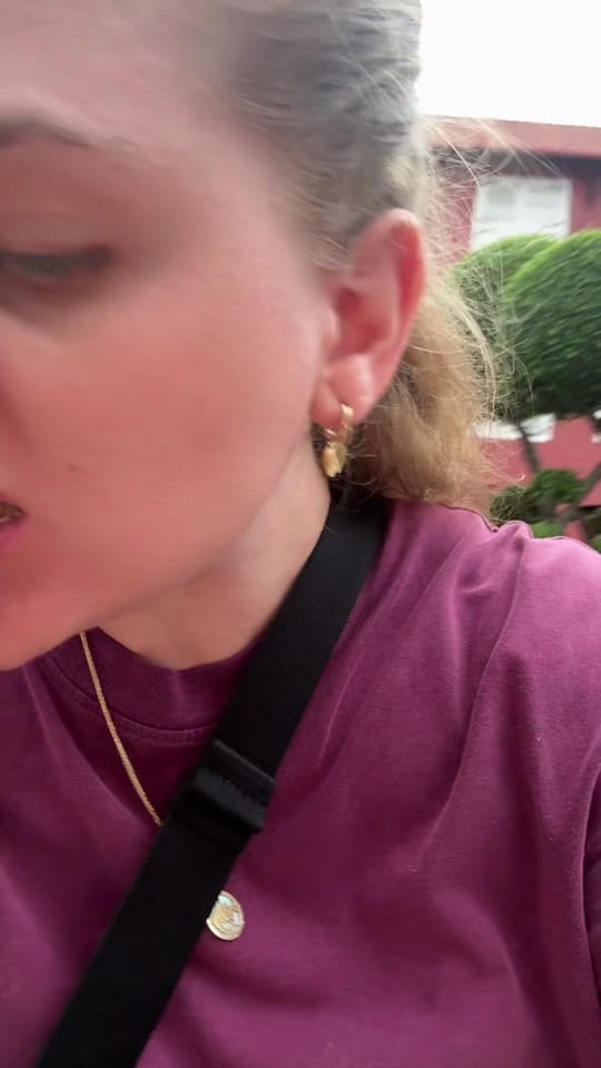 Post 7 by BridgetteHeidi on TikTok (video)