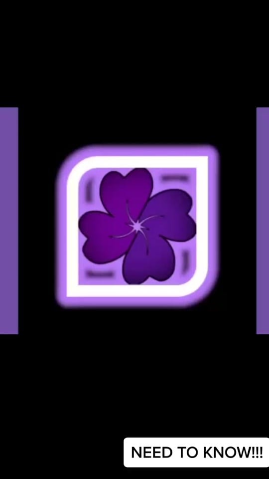 Post 1 by NDIS Little Helper on TikTok (video)