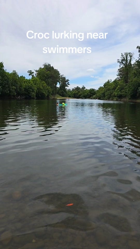 Post 6 by betterinsurancecover on TikTok (video)