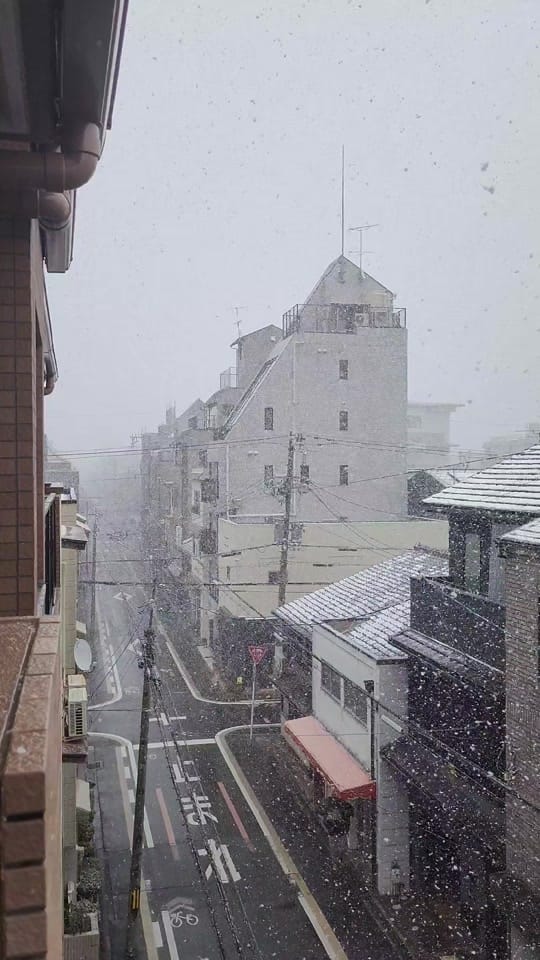 Post 1 by 🐔Palmy on TikTok (video)