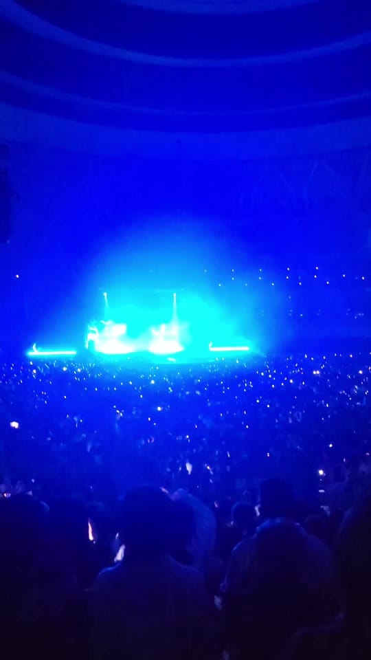 Post 9 by 🐔Palmy on TikTok (video)
