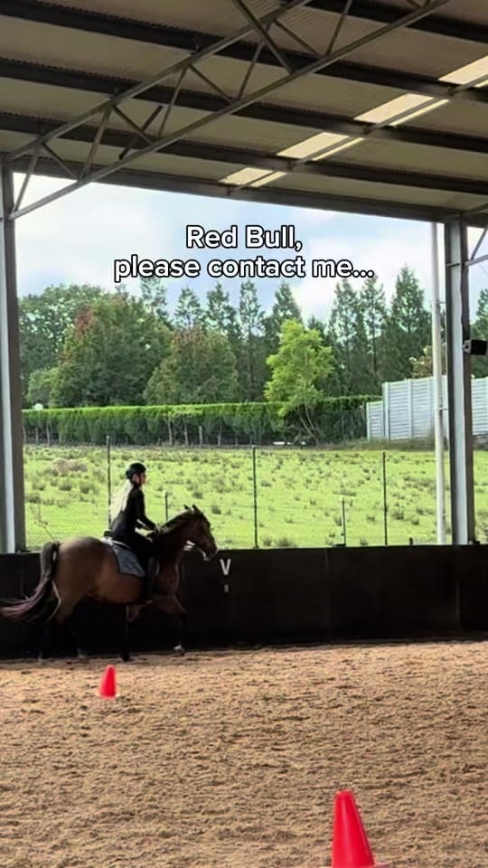 Post 4 by Laura Gilbert 🌻 on TikTok (video)