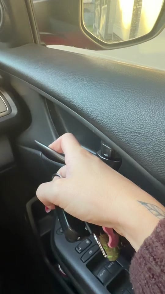 Post 5 by bree ✨ on TikTok (video)