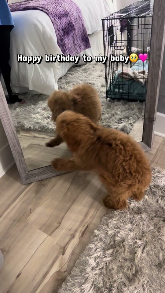 Post 2 by Bianca on TikTok (video)