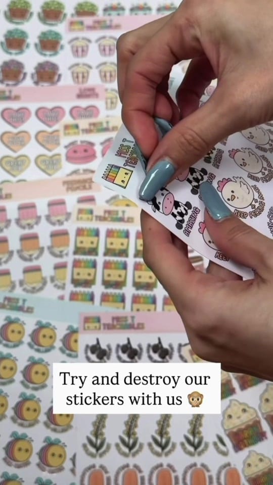 Post 6 by Miss T Teachables on TikTok (video)